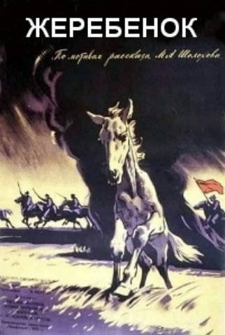 Жеребенок