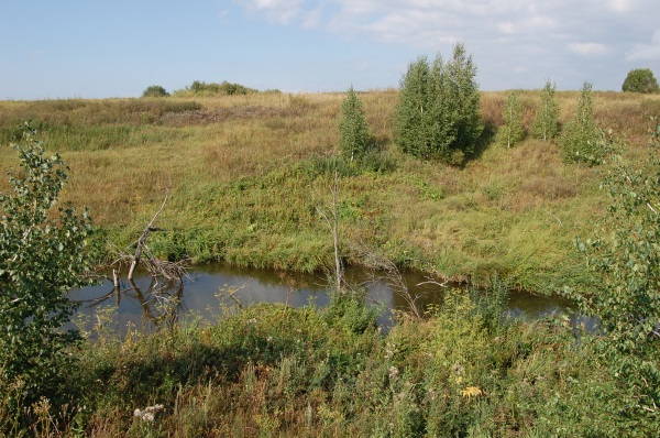 Родник Чугуш
